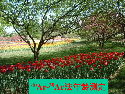Ar-Ar——同位素地球化学课件PPT (1)