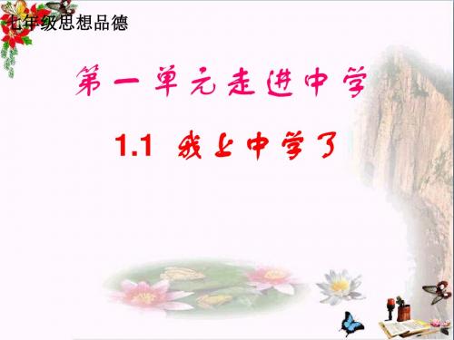 我上中学了ppt优秀课件3 粤教版