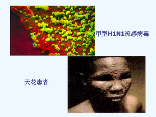 七年级生物下册《人体的免疫功能》课件_济南版