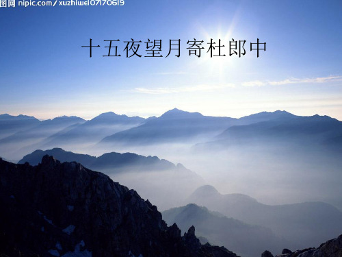 十五夜望月寄杜郎中注释译文赏析【唐】王建