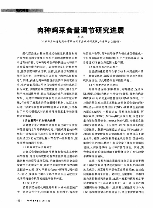 肉种鸡采食量调节研究进展