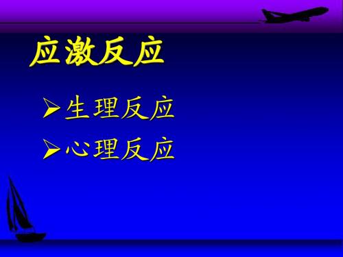 应激2