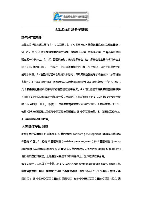 抗体测序精确度—抗体多样性及分子基础