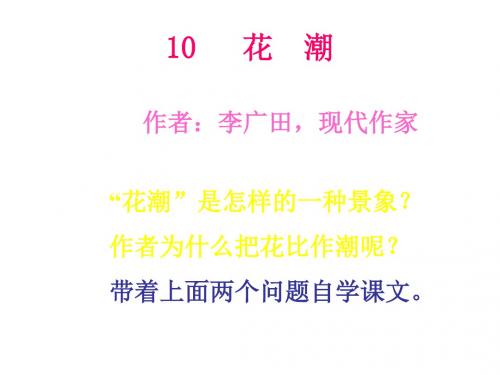 六年级语文花潮1(新2019)