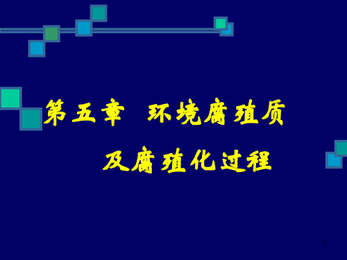 环境腐殖质及腐殖化过程ppt课件