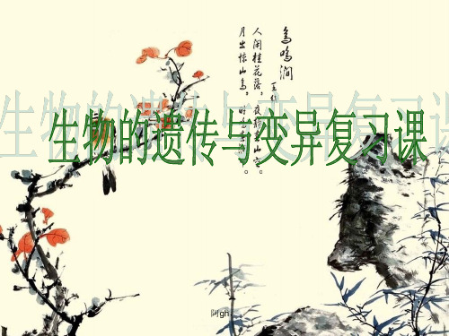 生物的遗传和变异复习课件技术.ppt