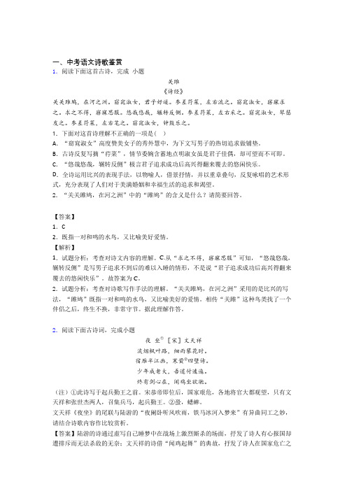 中考语文压轴题专题复习—诗歌鉴赏的综合及详细答案