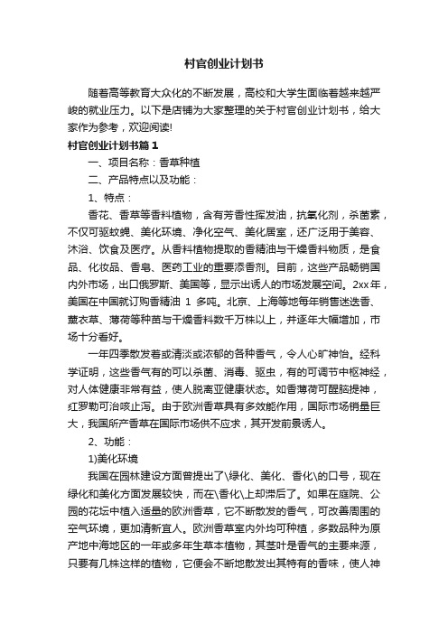 村官创业计划书