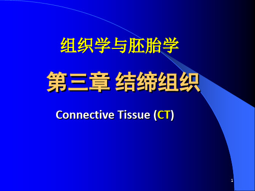 组织胚胎学课件-结缔组织