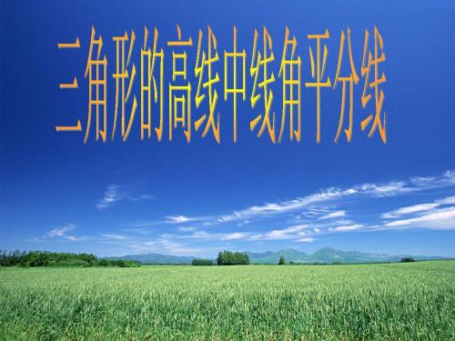 13.1.3三角形的高线中线角平分线.ppt