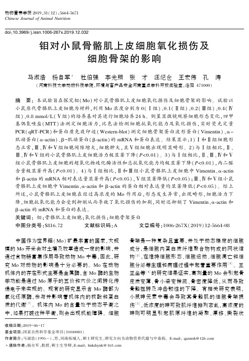 钼对小鼠骨骼肌上皮细胞氧化损伤及细胞骨架的影响