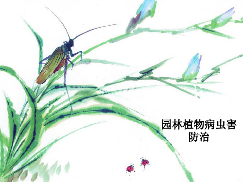 园林植物病虫害防治