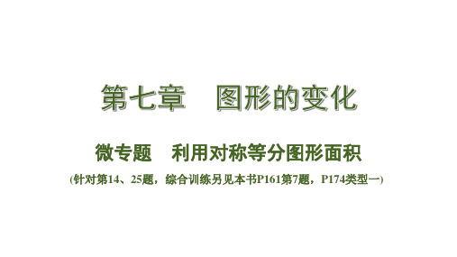 中考数学总复习考点系统复习微专题   利用对称等分图形面积