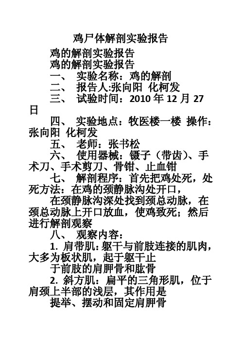 鸡尸体解剖实验报告