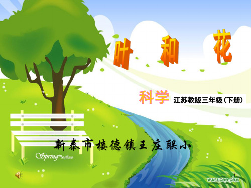 (精选)苏教版小学三年级科学《叶和花》幻灯片课件