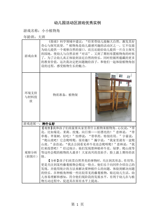 幼儿园大班活动区游戏优秀教学案例：《小小植物角》共10页