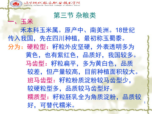 2第五章粮食类烹饪原料PPT课件