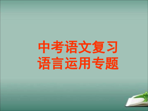 中考语文：语言运用专题复习 课件PPT