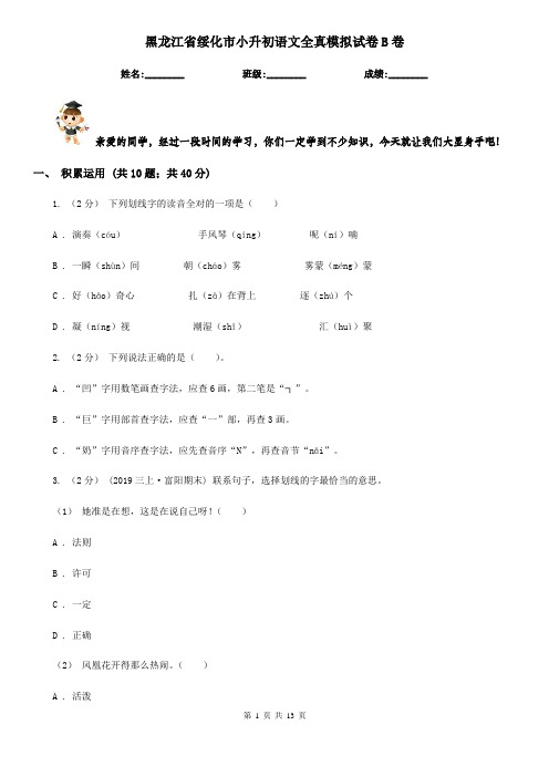 黑龙江省绥化市小升初语文全真模拟试卷B卷