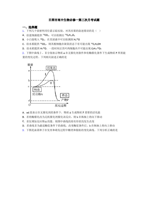 日照市高中生物必修一第三次月考试题