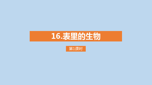《表里的生物》ppt课件完美版