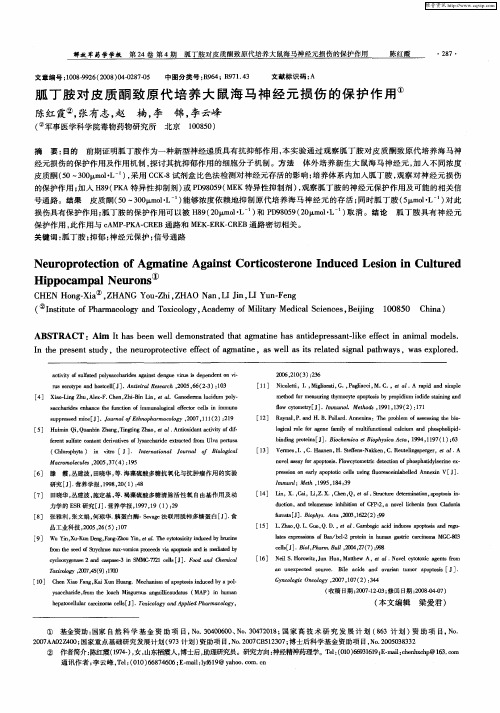 胍丁胺对皮质酮致原代培养大鼠海马神经元损伤的保护作用