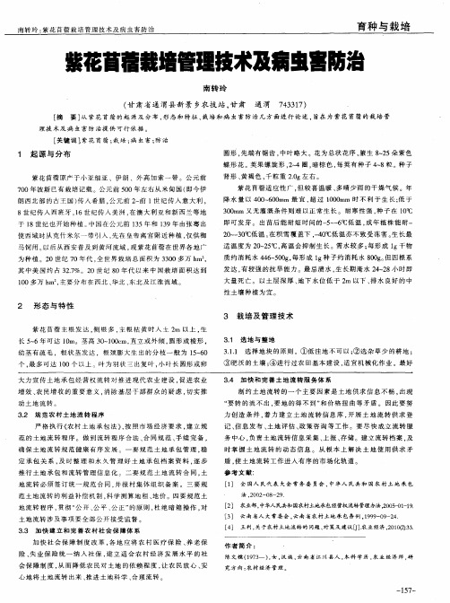紫花苜蓿栽培管理技术及病虫害防治