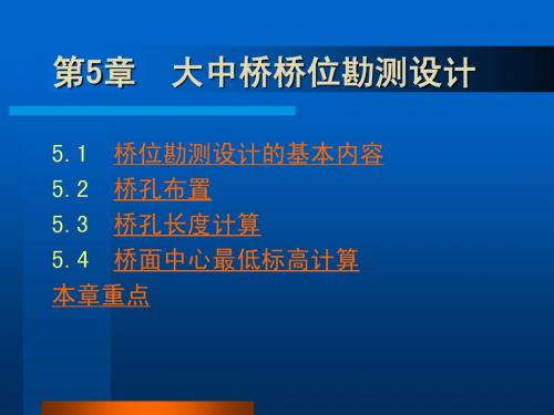 大中桥桥位勘测设计