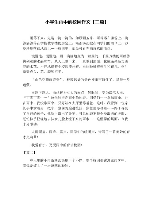 小学生雨中的校园作文【三篇】