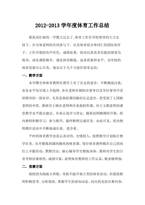 13年体育工作总结