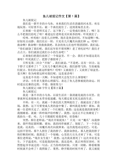鱼儿被捉记450字作文精选