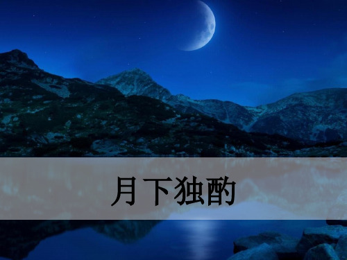 最新人教部编版九年级下册语文课外古诗词-月下独酌