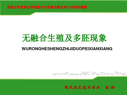 名词解释无融合生殖多胚现象