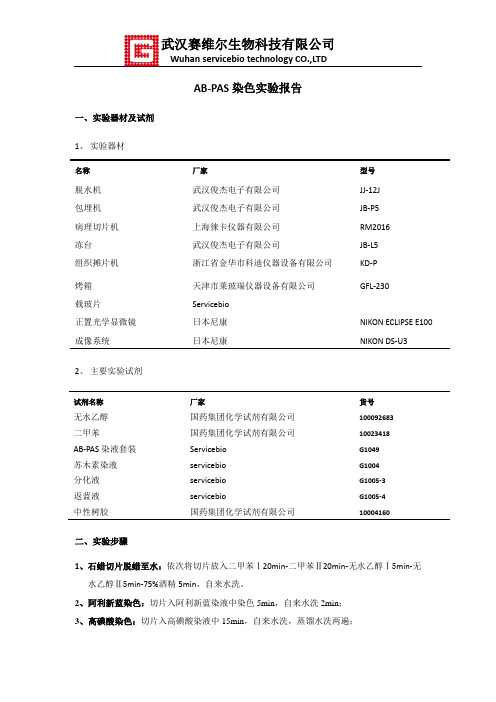 AB-PAS染色实验报告