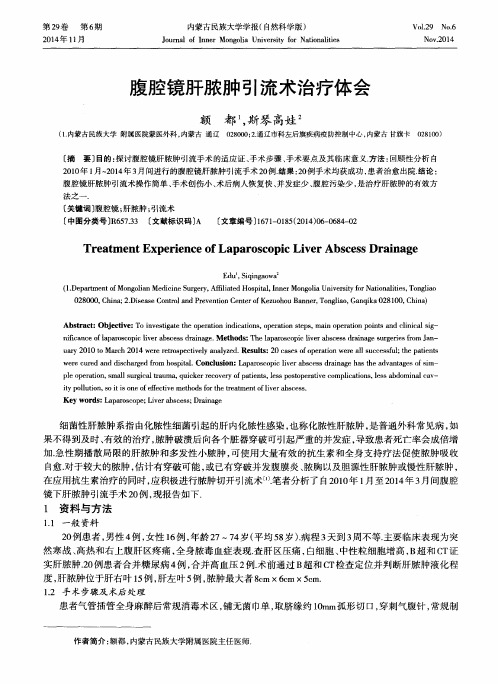 腹腔镜肝脓肿引流术治疗体会