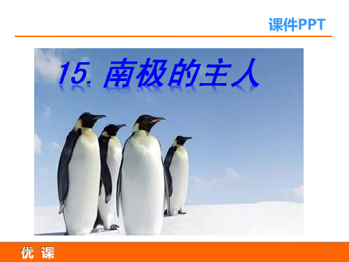 苏教版小学一年级语文下册15南极的主人PPT课件