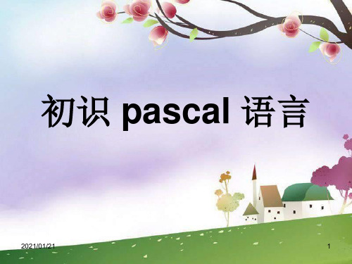 初识FreePascal语言ppt-辽师大版信息技术九年PPT教学课件