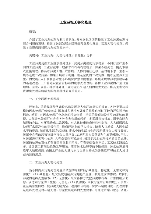 工业污泥无害化处理