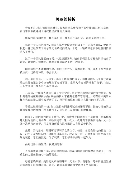 [高考作文]美丽的转折