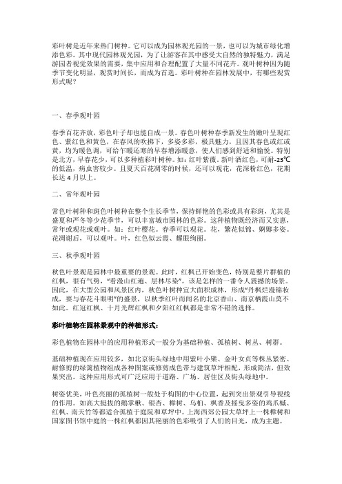 彩叶树在园林景观中的运用