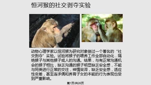 学会交往沟通你我课件PPT学习