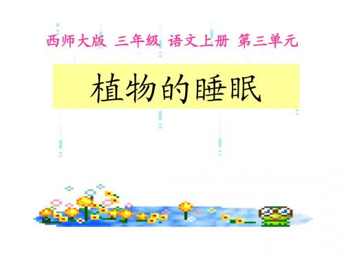 植物的睡眠