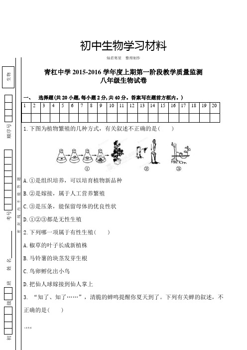 人教版八上生物第一阶段检测生物试题