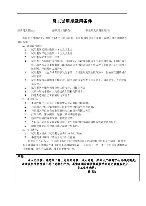 员工试用期录用条件3