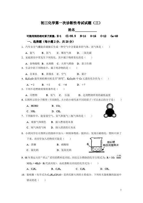 泸州市鲁教版九年级化学一诊试卷