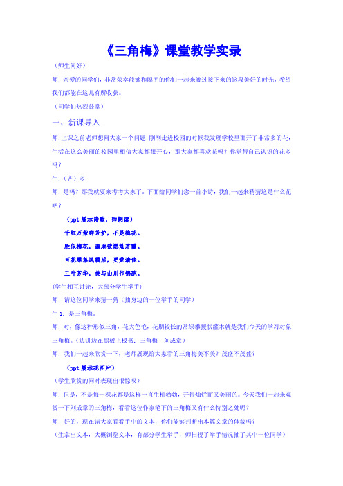 《三角梅》课堂教学实录