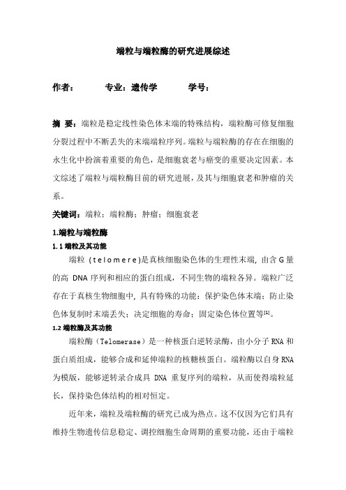 端粒与端粒酶的研究进展综述