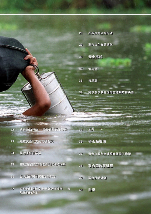 2007WFP年度报告