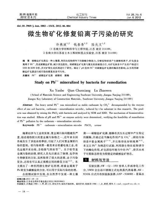 微生物矿化修复铅离子污染的研究