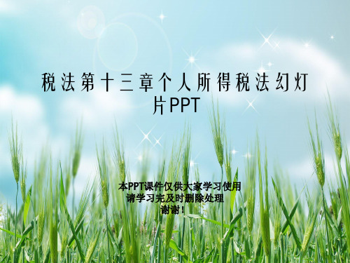 税法第十三章个人所得税法幻灯片PPT
